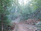 photo thumbnail #1