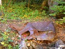 photo thumbnail #9