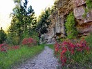 photo thumbnail #13