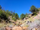 photo thumbnail #8