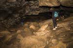photo thumbnail #15