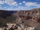 photo thumbnail #12