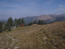 photo thumbnail #2