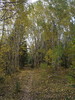 photo thumbnail #9