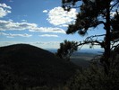 photo thumbnail #14