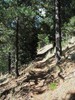 photo thumbnail #9