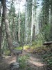 photo thumbnail #11