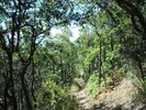 photo thumbnail #13