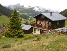 photo thumbnail #4