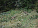 photo thumbnail #11