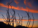 photo thumbnail #1