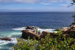 photo thumbnail #6