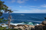 photo thumbnail #15