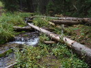 photo thumbnail #8