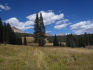 photo thumbnail #14