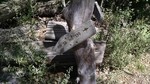 photo thumbnail #11
