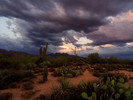 photo thumbnail #13