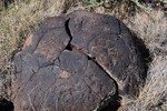 photo thumbnail #8