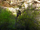 photo thumbnail #10