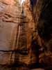 photo thumbnail #14