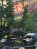 photo thumbnail #11