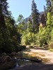 photo thumbnail #13