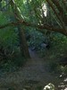 photo thumbnail #14