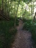 photo thumbnail #15