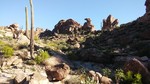 photo thumbnail #1