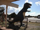 photo thumbnail #8
