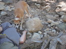 photo thumbnail #4