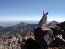 photo thumbnail #10