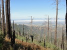 photo thumbnail #12