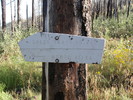 photo thumbnail #14