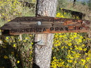 photo thumbnail #15