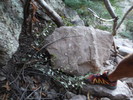 photo thumbnail #2