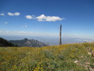 photo thumbnail #5