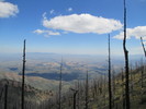 photo thumbnail #6
