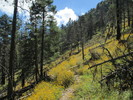 photo thumbnail #7