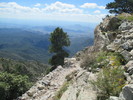 photo thumbnail #8