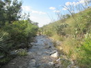 photo thumbnail #12