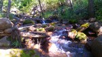 photo thumbnail #8