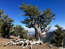 photo thumbnail #14
