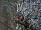 photo thumbnail #3