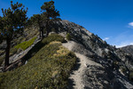 photo thumbnail #8