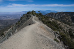photo thumbnail #11