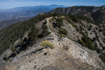 photo thumbnail #13