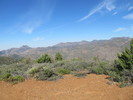 photo thumbnail #3