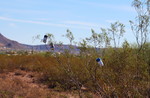 photo thumbnail #4