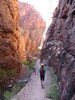 photo thumbnail #12